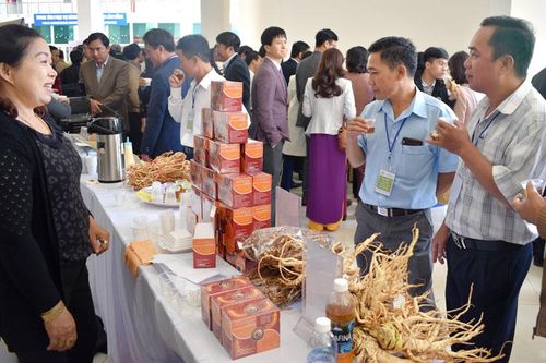 Kết nối sản xuất với chế biến và tiêu thụ nông sản ở Đơn Dương