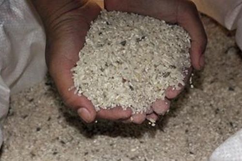 Xin hủy gần 10 tấn gạo để ngoài sổ sách Trung tâm Bảo trợ