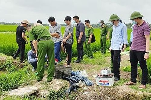 Nỗi đau thương từ những bẫy điện diệt chuột trên đồng ruộng