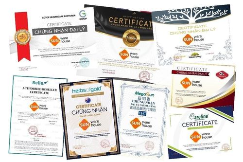 Sun Warehouse: Đối tác chiến lược của các thương hiệu danh tiếng trên thế giới
