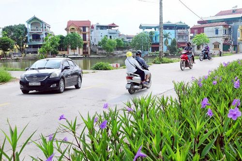 Phát động phong trào thi đua 'Toàn dân chung sức xây dựng nông thôn mới'