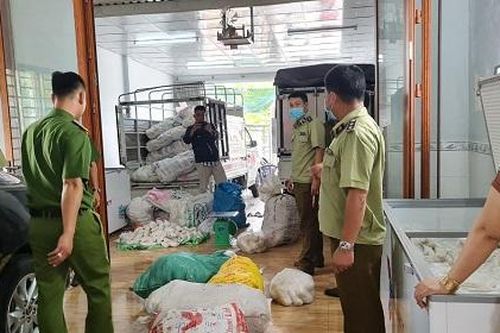 Tạm giữ hơn 3 tấn thực phẩm chay trị giá hàng trăm triệu đồng