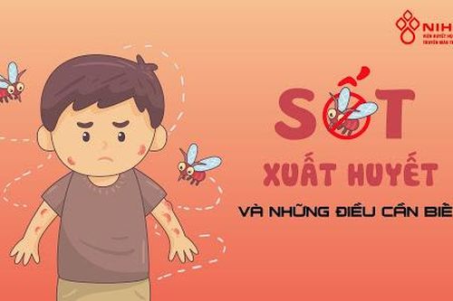 Cả nước 19.710 trường hợp mắc sốt xuất huyết, khi mắc có cần nhập viện?