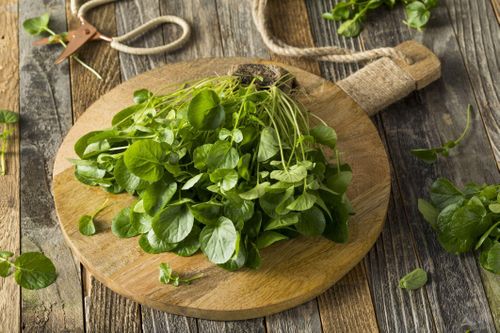 Lợi ích của cải xoong