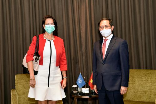Bộ trưởng Ngoại giao Bùi Thanh Sơn tiếp Đặc phái viên của Tổng Thư ký LHQ về Myanmar