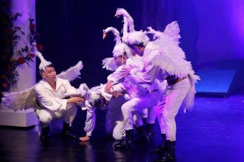 Công diễn vở nhạc kịch 'Bầy chim thiên nga'