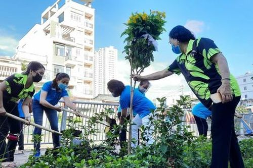Quận 5 ra quân tổng vệ sinh, trồng cây mừng ngày thống nhất đất nước
