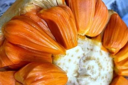 Mít ruột đỏ miền Tây, giá cao ngất ngưởng vẫn 'cháy hàng'