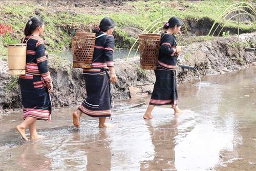 Lễ cúng Giọt nước - nét đẹp văn hóa của dân tộc Jrai ở Tây Nguyên