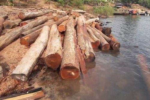 Gia Lai: Phát hiện nhiều bãi tập kết gỗ trên lòng hồ thủy điện Sê San 4