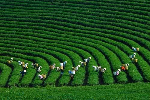 Những điểm du lịch gần Hà Nội không thể bỏ qua dịp 30/4