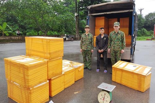 Quảng Ninh: Bắt giữ 500 kg cá tầm nhập lậu từ Trung Quốc