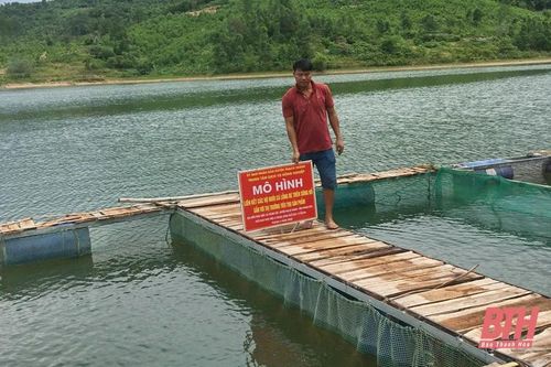 Phát triển nghề nuôi cá lồng trên sông hồ ở miền núi