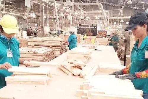 Ngành chế biến gỗ vẫn có sức hút lớn