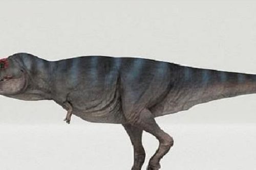 Khám phá bất ngờ: Khủng long bạo chúa T-Rex đi chậm hơn con người