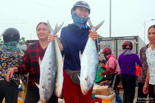 Cảng Cửa Hội đầy ắp cá thu, cá bè... tươi ngon buổi sáng