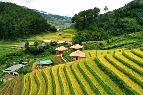 Du khách hào hứng khám phá mùa vàng ở Mù Cang Chải