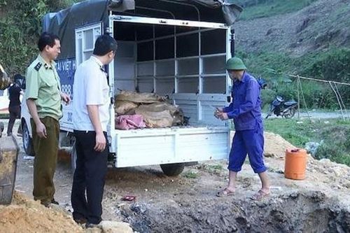 Phát hiện xe tải chở nửa tấn cá tầm nhập lậu từ Trung Quốc