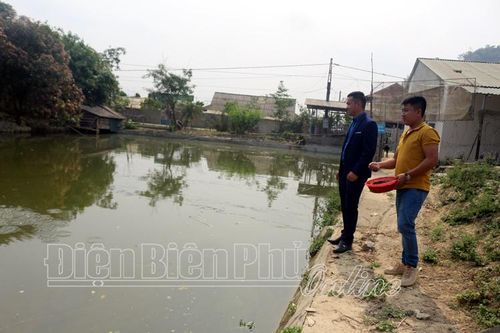 Đoàn viên thanh niên Tủa Chùa phát huy vai trò xung kích