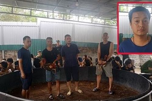Khống chế 60 đối tượng đang sát phạt trong trường gà kiên cố