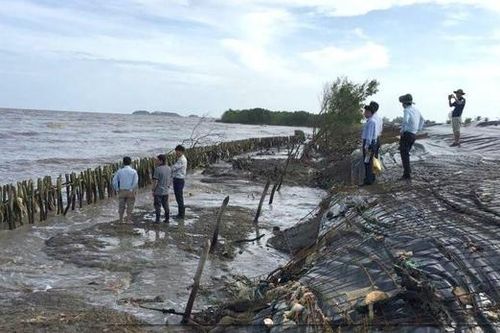 Đồng bằng sông Cửu Long: Toàn vùng trước nguy cơ sụt lún