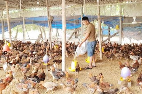 Đưa nguồn vốn ưu đãi đến người dân