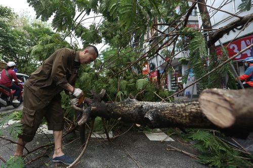 Cây đổ, đường phố tê liệt vì mưa lớn