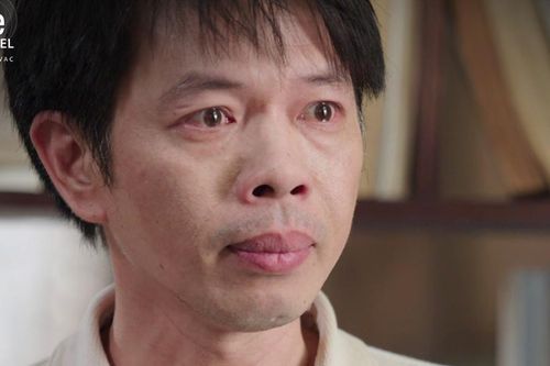 Thái Hòa làm được gì trong 'Cây táo nở hoa'?