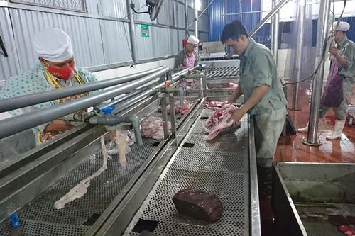 Nguy cơ 'phá sản' Đề án quản lý hệ thống giết mổ động vật ở Thái Nguyên