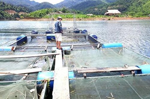 Nghệ An: Người dân tạo sinh kế trong lòng hồ thủy điện