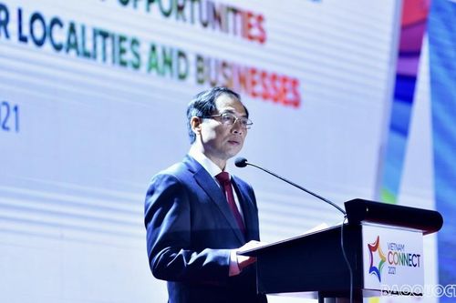 Bộ trưởng Bộ Ngoại giao Bùi Thanh Sơn: Thu hút FDI phải đổi mới mạnh mẽ sang tư duy chủ động