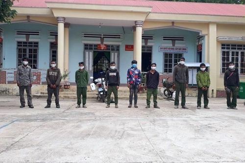 Bắt giữ 12 đối tượng vận chuyển gỗ trái phép qua biên giới