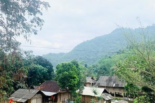 Nóng bỏng cuộc chiến chống ma túy tại Nghệ An