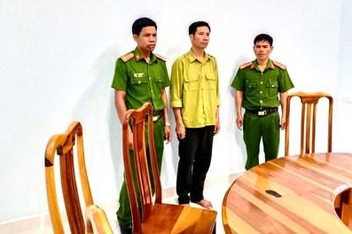 Truy tố cán bộ bảo vệ rừng để lâm tặc khai thác trái phép hơn 100m3 gỗ