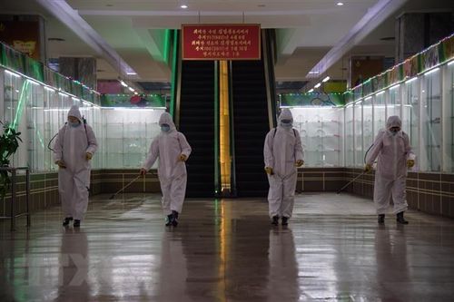 Triều Tiên tăng cường nỗ lực ngăn chặn dịch COVID-19 trong mùa Xuân