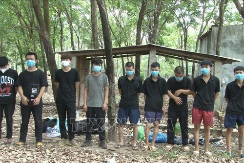 Chín người nước ngoài nhập cảnh trái phép chạy trốn vào vườn điều