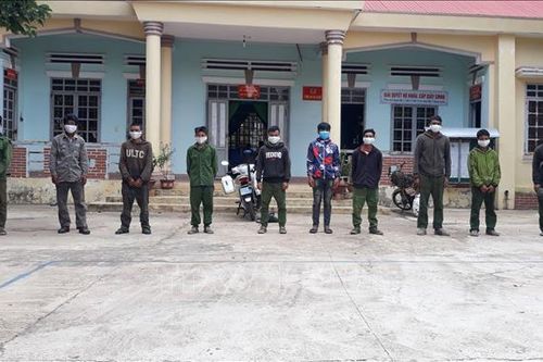 Phát hiện nhóm đối tượng vận chuyển lâm sản trái phép vào Việt Nam