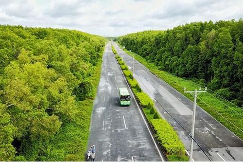 Đánh thức Cần Giờ hài hòa sinh thái