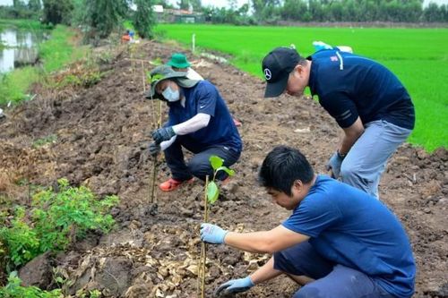 Trồng 8.000 cây xanh tại Khu bảo tồn đất ngập nước Láng Sen