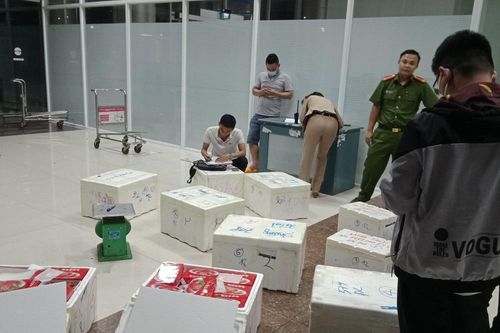 Lâm Đồng: Phát hiện 214kg dâu tây nghi của Trung Quốc 'tuồn' vào Đà Lạt