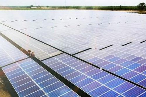 Bamboo Capital đặt kế hoạch doanh thu thuần đạt 5.375 tỷ đồng trong năm 2021