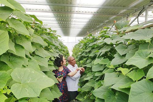 Lắp pin năng lượng mặt trời hỗ trợ người nghèo vùng Bảy Núi