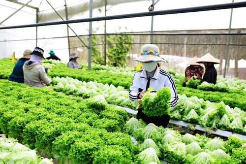 Lạc Dương - điểm đến của tương lai (Bài 1)