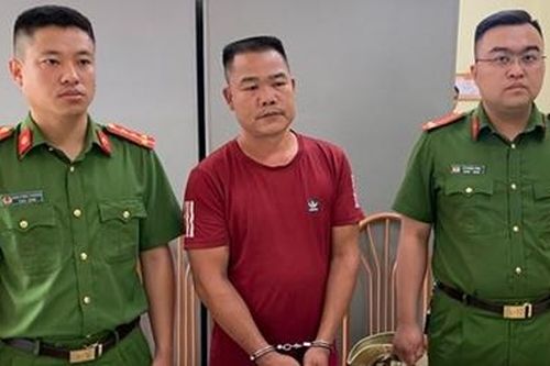 Thuê lâm tặc chặt trên 150 cây ban
