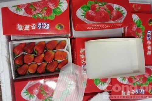Lâm Đồng: Thu giữ 13 thùng dâu tây nhập lậu từ Trung Quốc