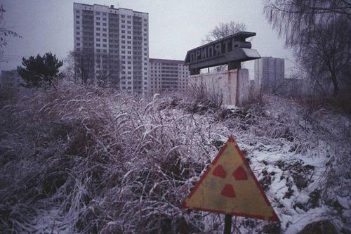 'Vùng đất chết' Chernobyl nuôi hy vọng hồi sinh sau thảm họa hạt nhân kinh hoàng 35 năm trước