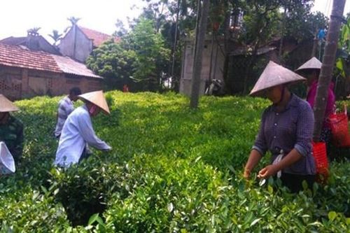 Ưu tiên tín dụng cho đồng bào dân tộc thiểu số