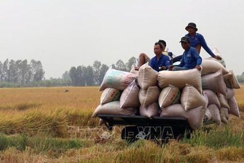 Đổi thay ở Gò Quao