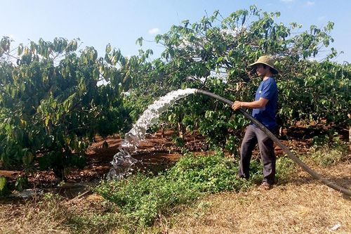 Những cách làm sáng tạo, hiệu quả ở Ðắk Ðoa