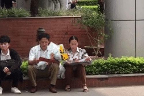 Khoảnh khắc bố mẹ lật đi lật lại tấm bằng đại học gây xúc động: 'Cả bầu trời tự hào trong đáy mắt'